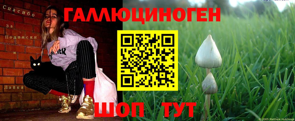 Галлюциногенные грибы прущие грибы Нефтекамск